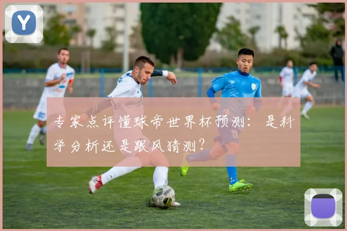 专家点评懂球帝世界杯预测:是科学分析还是跟风猜测?