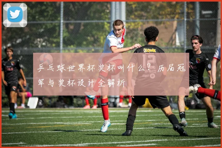 乒乓球世界杯奖杯叫什么?历届冠军与奖杯设计全解析